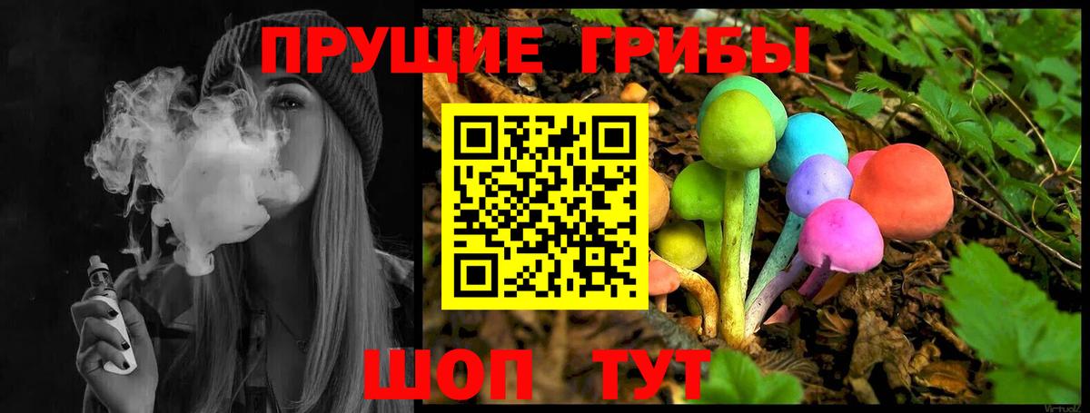 Псилоцибиновые грибы Psilocybine cubensis Нижний Тагил