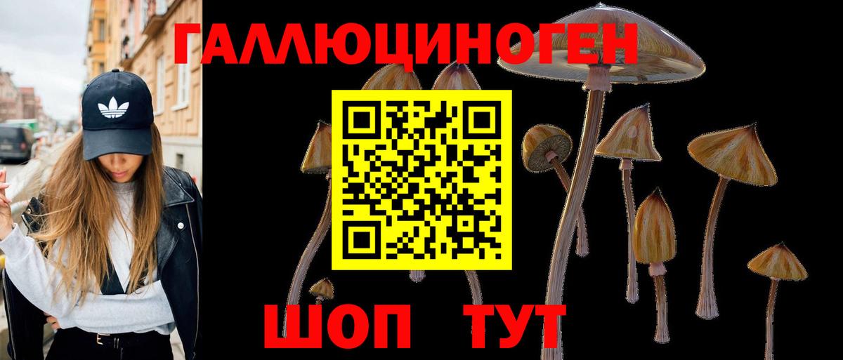 Нижний Тагил  Псилоцибиновые грибы мицелий  Вход с VPN 